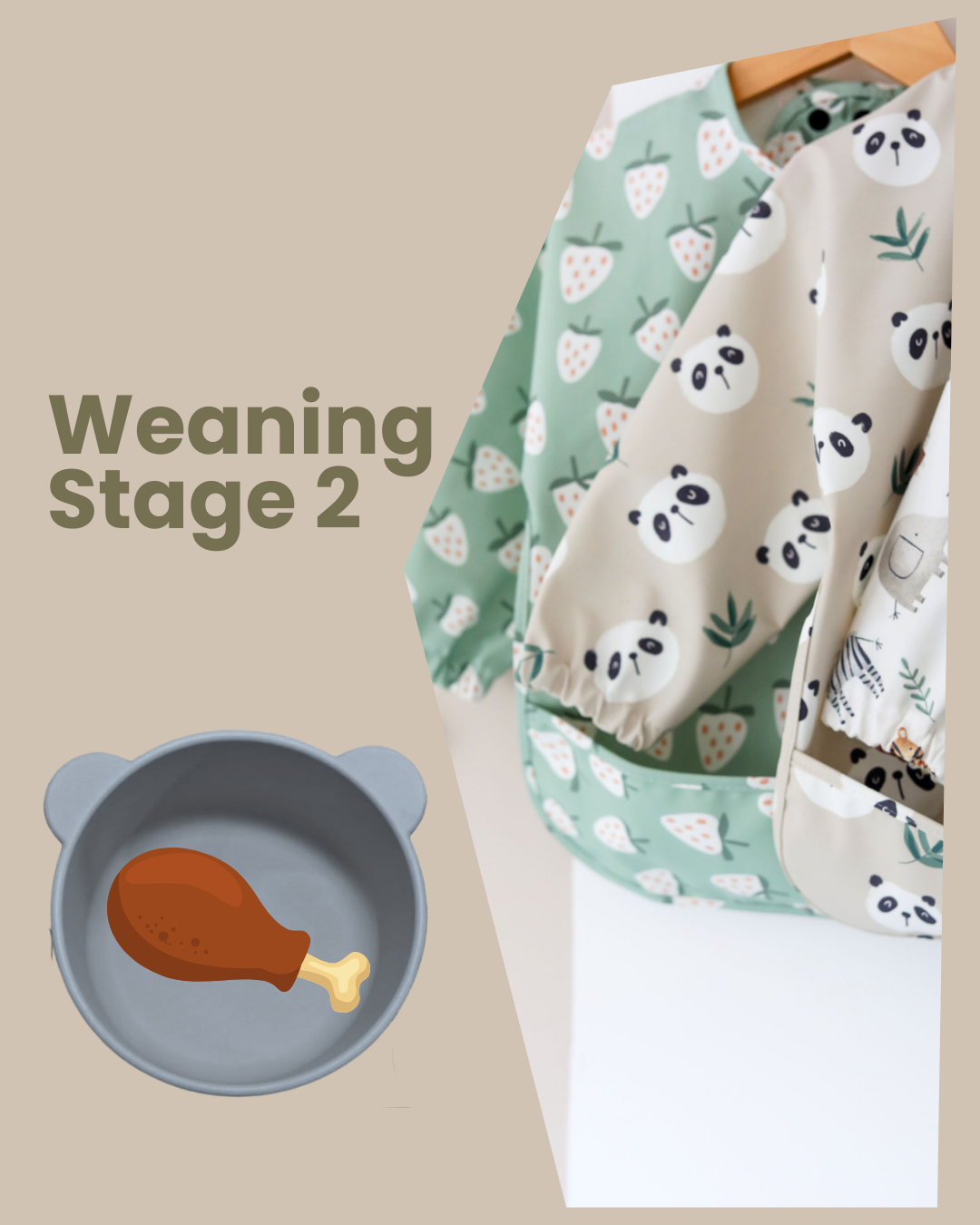 🍗Weaning Stage 2: Introducing Protein & Grains