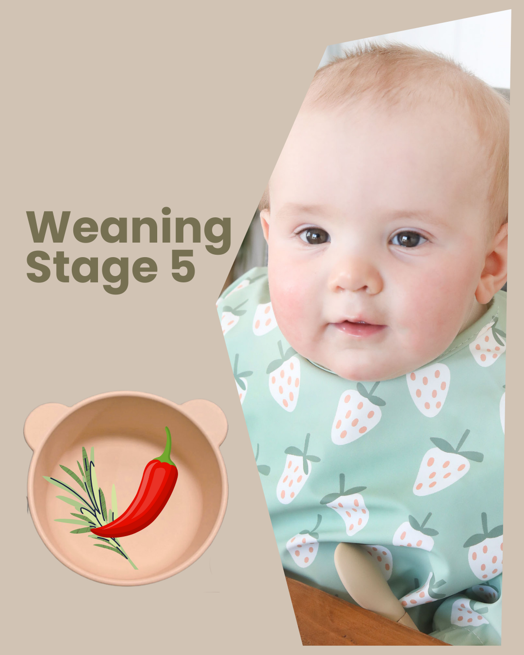 🌶️ Weaning Stage 5: Expanding Variety &amp; Flavour