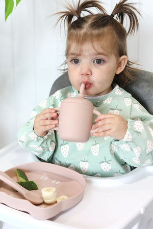 Cat Silicone Weaning Starter Kit