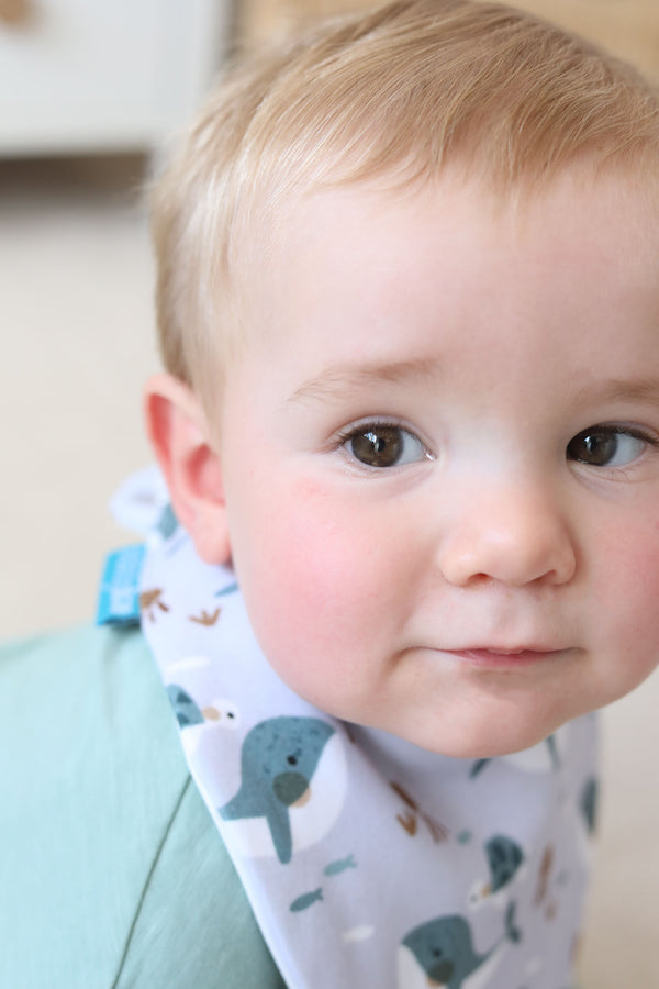 Whale Waterproof Dribble Bib