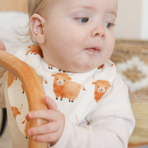 Starter Bib Set - Farm