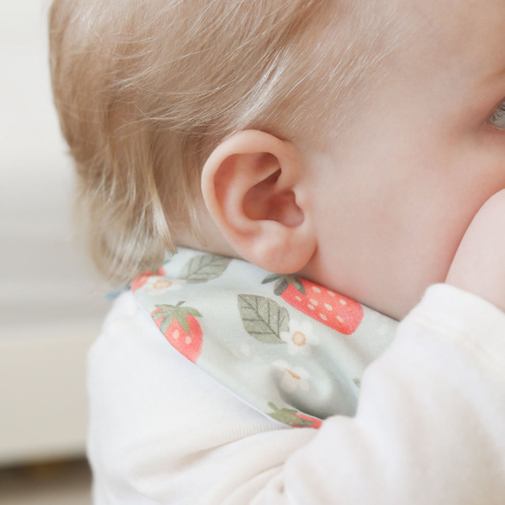 Strawberry Mouse Waterproof Dribble Bib