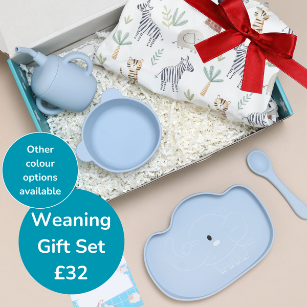Gift Box - Complete Weaning Set - Single Set