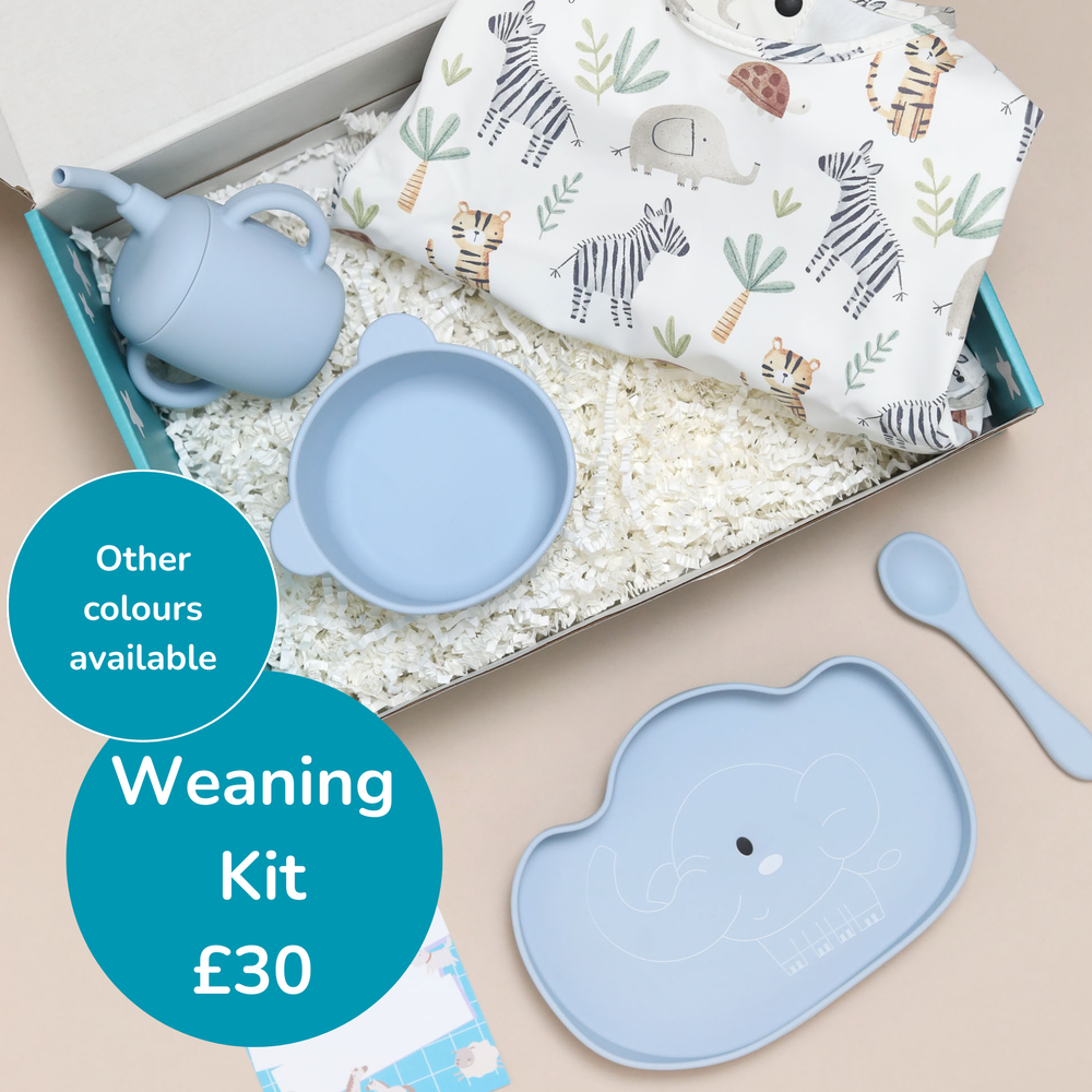🍽️ Weaning Mess Kit