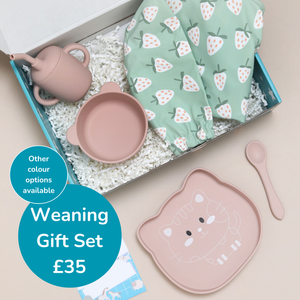 Gift Box - Complete Weaning Set - Single Set