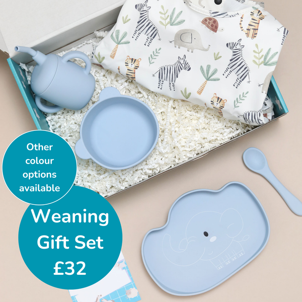 Gift Box - Complete Weaning Set - Single Set