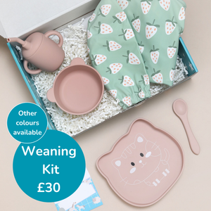 🍽️ Weaning Mess Kit