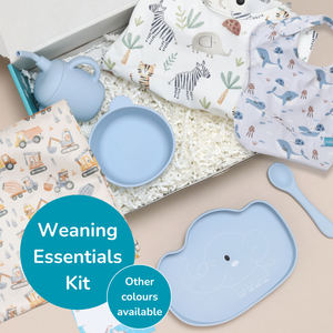 🍽️ Weaning Essentials Kit