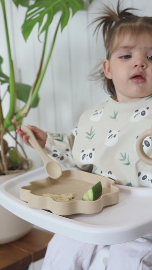 Lion Silicone Weaning Starter Kit