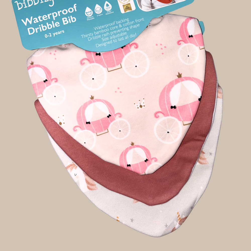 Starter Bib Set - Unicorn & Princess Carriage