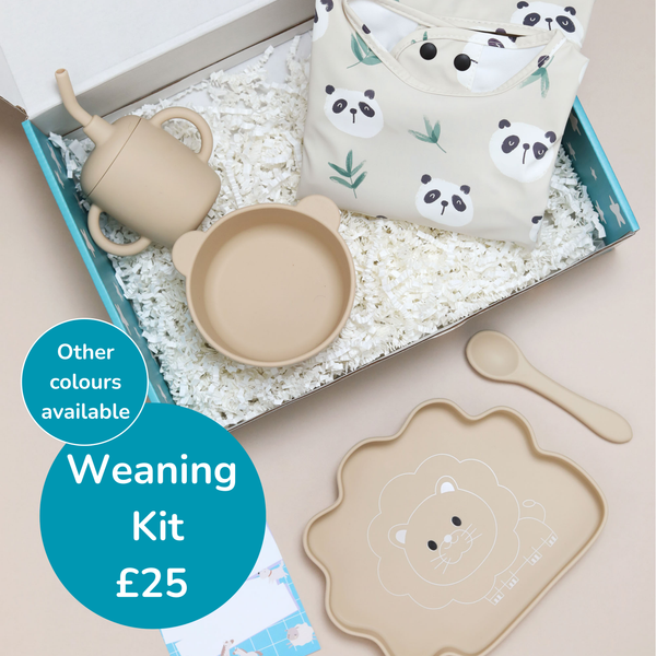 🍽️ Weaning Essentials Kit